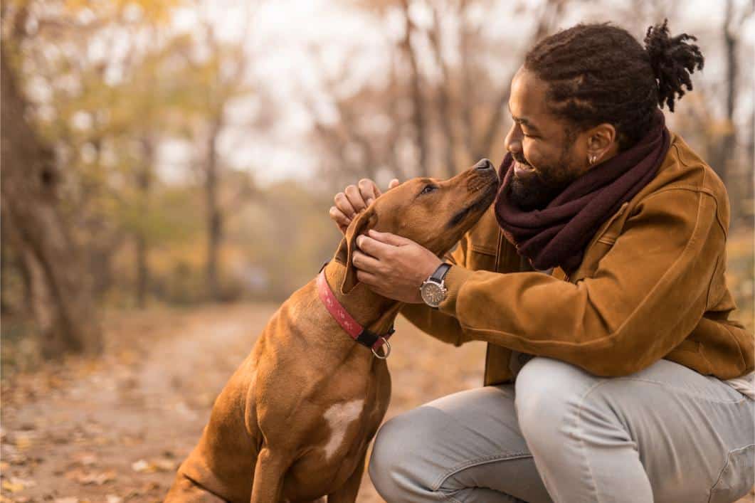 walk with pet in fall. 